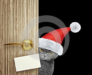 Cat in red christmas santa claus hat looking out the door entrance at home with empty card. Isolated on black