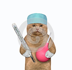 Cat reddish holds thermometer and enema