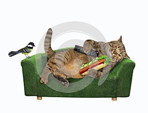 Cat with remote rest on green sofa 2