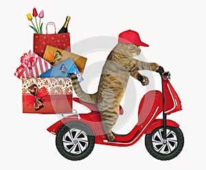 Cat rides a moped with gift bags