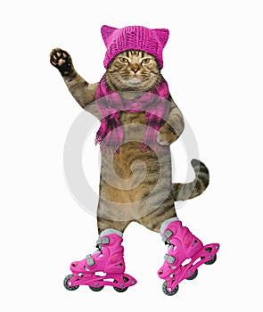 Cat on roller skates