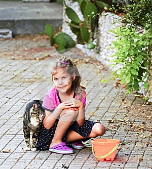 The cat rubs the girl`s hand on the street