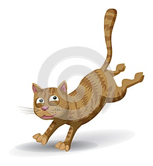 Cat running