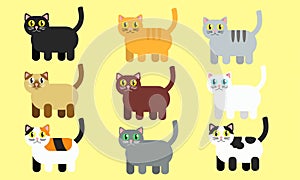 Cat`s colour vector for art work
