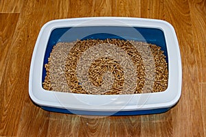 Cat`s litter box with filler on floor