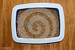 Cat`s litter box with filler on floor. Top view