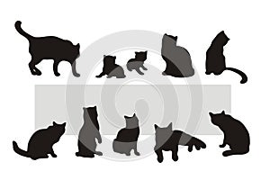 Cat's silhouettes