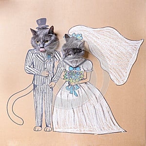 Cat`s wedding, a cat in a suit and a cat in a wedding dress. Wedding scabs. Cats at the wedding