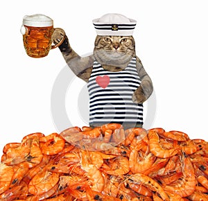 Cat sailor drinks beer with shrimp