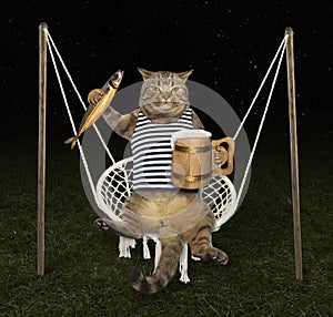 Cat on swing with beer