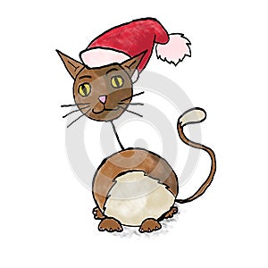 Cat santa claus