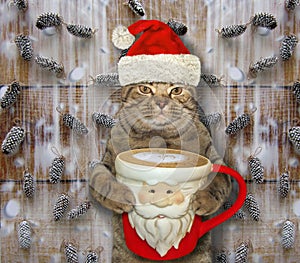 Cat with a Santa Claus cup of coffee 3