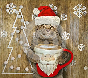 Cat with a Santa Claus cup of coffee 4