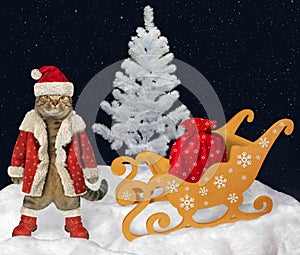Cat Santa Claus near the sleigh