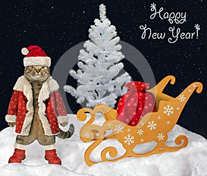 Cat Santa Claus near the sleigh 2