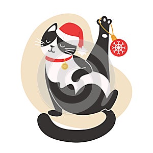 Cat in a Santa hat is playing wits a Christmas decoration photo