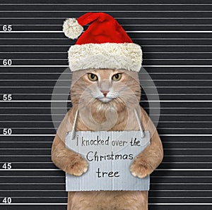 Cat Santa knocked Christmas tree 2