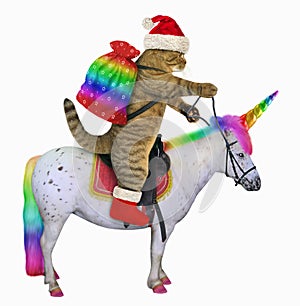 Cat Santa rides the unicorn 3