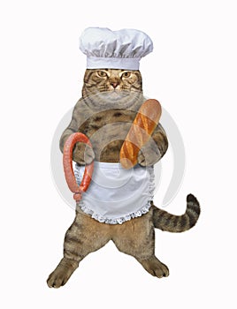 Cat with sausage and bread