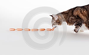 Cat and Sausages