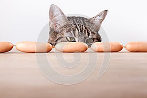 Cat and Sausages