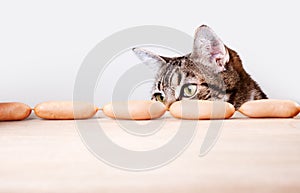 Cat and Sausages