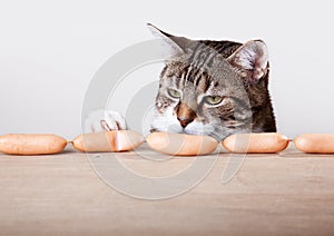 Cat and Sausages