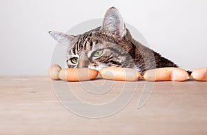 Cat and Sausages