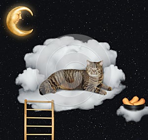 Cat with sausages lies on a cloud