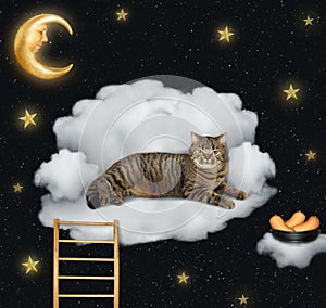 Cat with sausages lies on a cloud 2