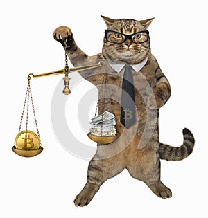 Cat with a scale of justice