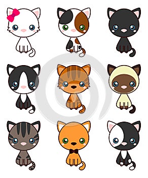 Cat Set, with black cat, white cat, grey cat, grey and white cat, brown and black act, brown cat