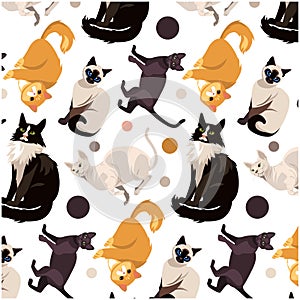 Cat set breed.seamless pattern with cats. modern animalistic print. vector illustration