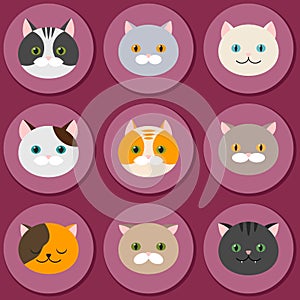 Cat. Set of flat feline head icons. Vector