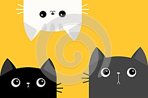 Cat set. Kitten in the corner. Black White Gray face icon. Funny kawaii doodle animal. Kitty upsidedown. Cute cartoon funny