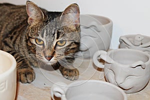 Cat-Shaped Mugs with Cat in a Ceramic Workshop