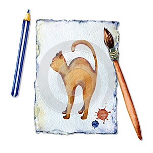 Cat on a sheet of paper. The artist paints a cat with a brush, watercolors and pencil. The concept of children`s