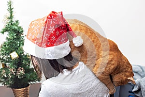 Cat on shoulder of girl in New Year& x27;s hat
