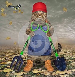 Cat with shovel and pitchfork 2