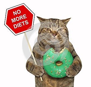 Cat with a sign and a green donut