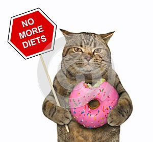 Cat with a sign and a pink donut