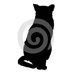 Cat silhouette 3