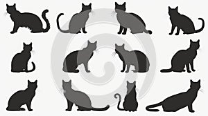 Cat silhouette collection