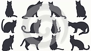 Cat silhouette collection