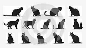 Cat silhouette collection