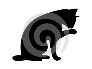 cat silhouette illustration, logo, print, decorative sticker