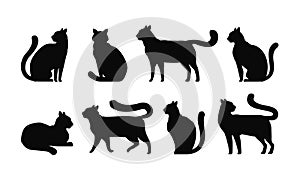 Cat silhouette, set icons. Pets, kitty, feline, animals symbol. Vector illustration