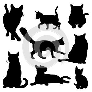 Cat silhouette set isolated on white