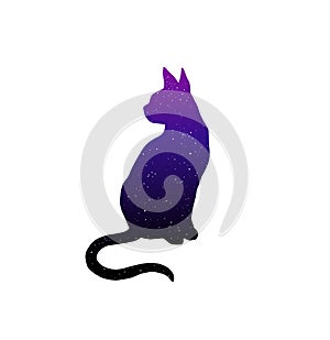 Cat silhouette with stars texture vector illustration