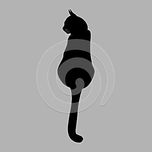 Cat silhouette. Vector illustration. Black cat on grey background
